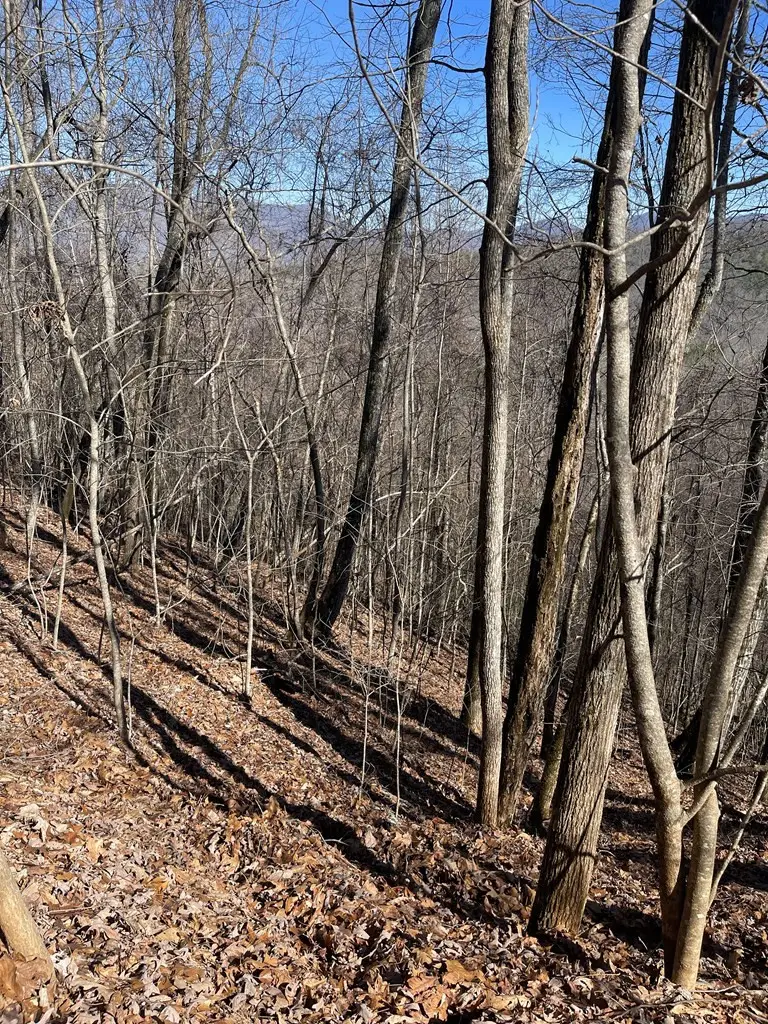 Lot 68j Grandview Drive, Hayesville, NC 28904 - #3