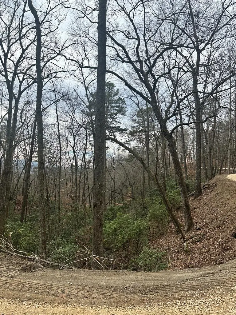 0 Tatham Gap Road, Andrews, NC 28901 - #1