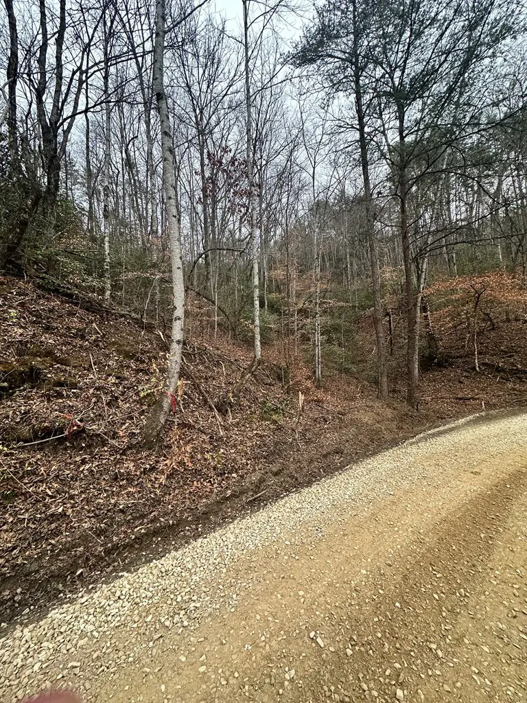 0 Tatham Gap Road, Andrews, NC 28901 - #3