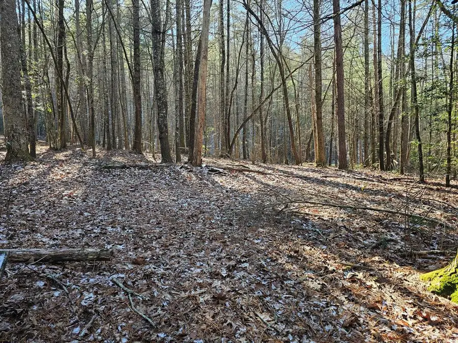 0 Beaverdam Road, Murphy, NC 28906 - #2