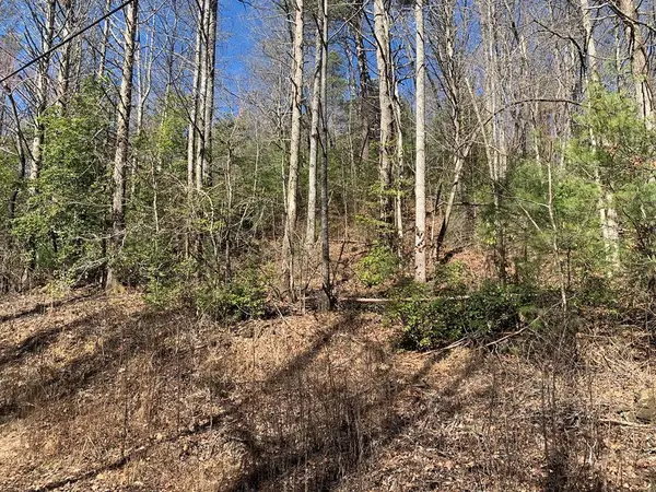 3.66 Horton Road, Murphy, NC 28906