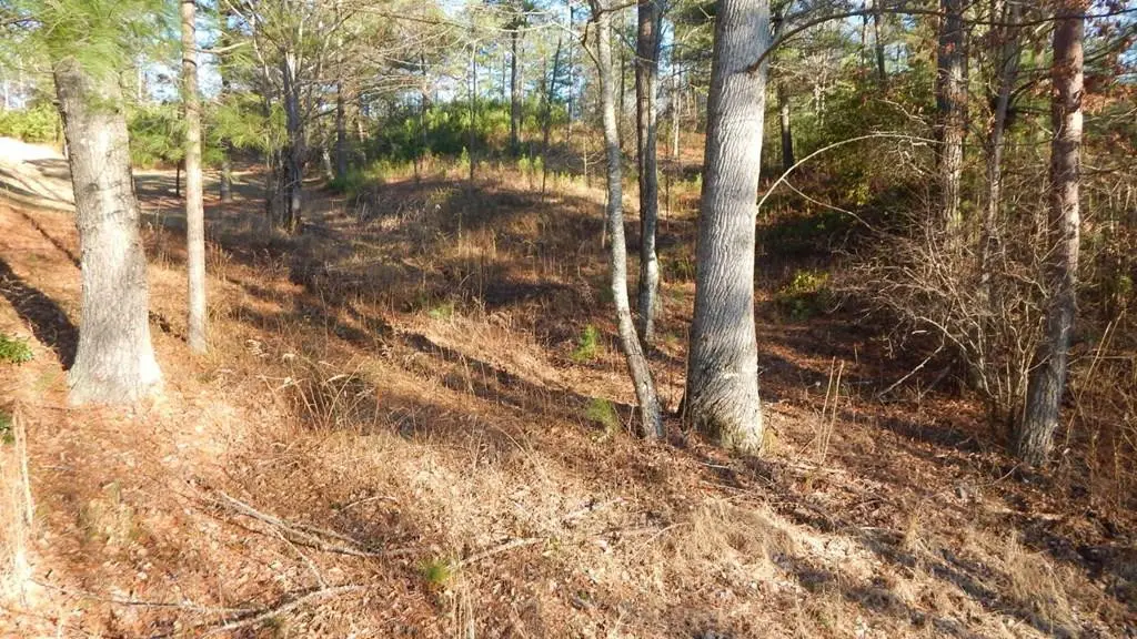 0 Walk Trail, Murphy, NC 28906 - #1
