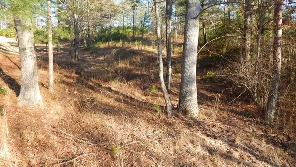 0 Walk Trail, Murphy, NC 28906