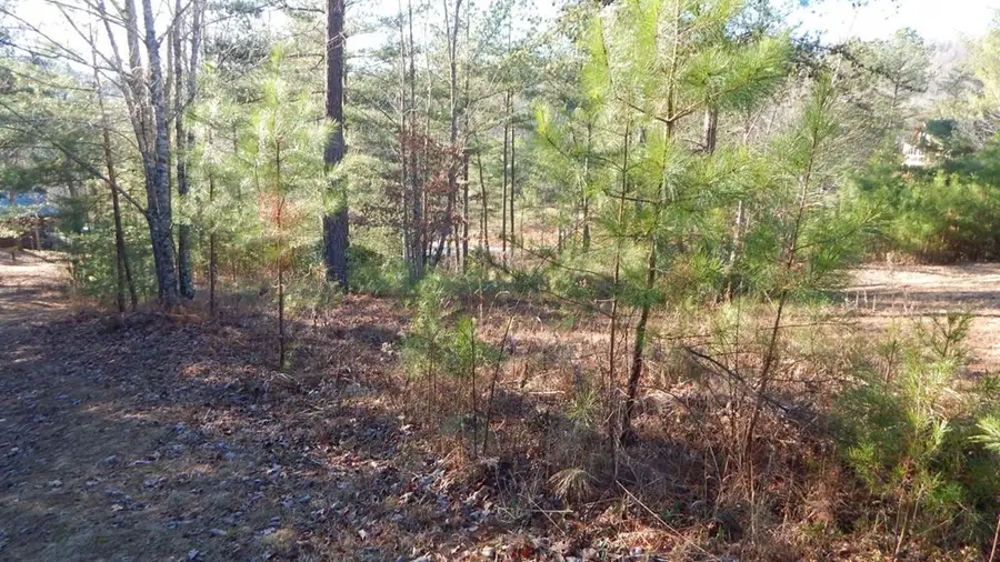 0 Walk Trail, Murphy, NC 28906 - #3