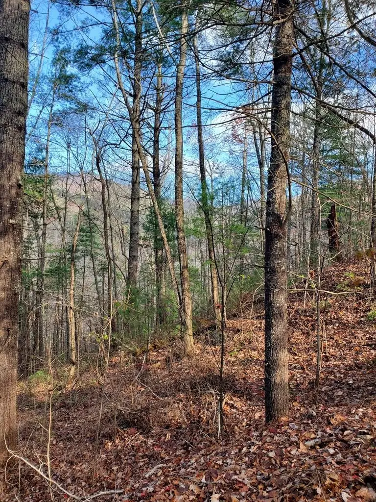 6-4 Katerina Lane, Murphy, NC 28906 - #1