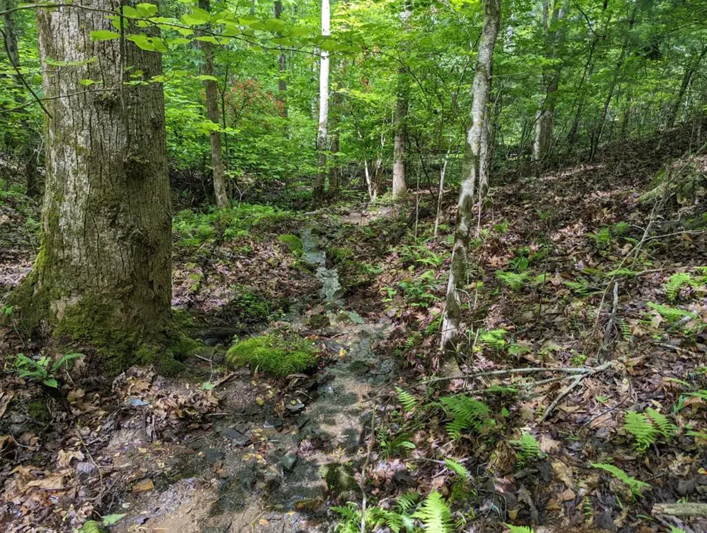 TBD Heritage Trail, Brasstown, NC 28902 - #1