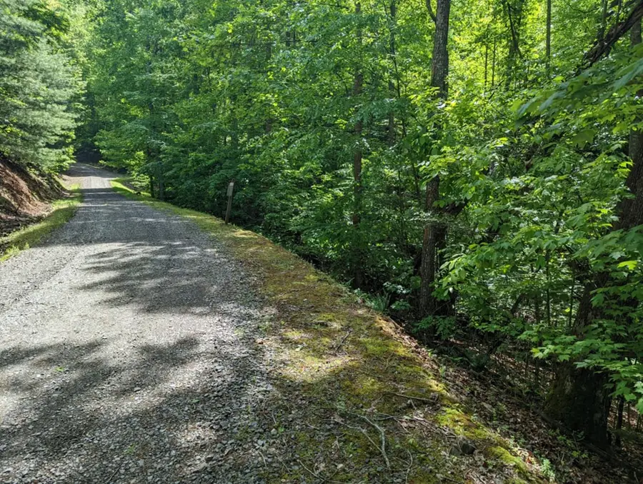 TBD Heritage Trail, Brasstown, NC 28902 - #2