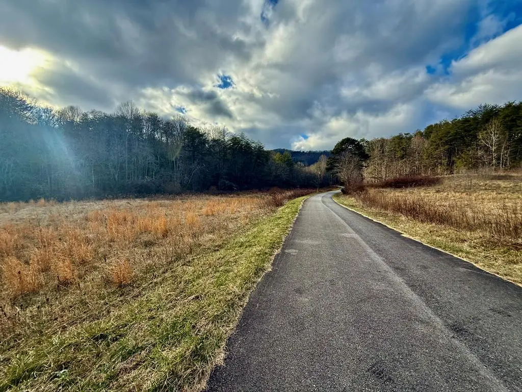 0 Cedar Springs Road, Turtletown, TN 37391 - #1