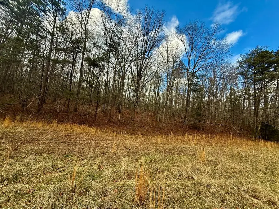0 Cedar Springs Road, Turtletown, TN 37391 - #3