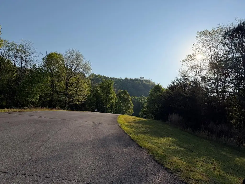 Lot #20 Yellow Maple Drive, Murphy, NC 28906 - #1