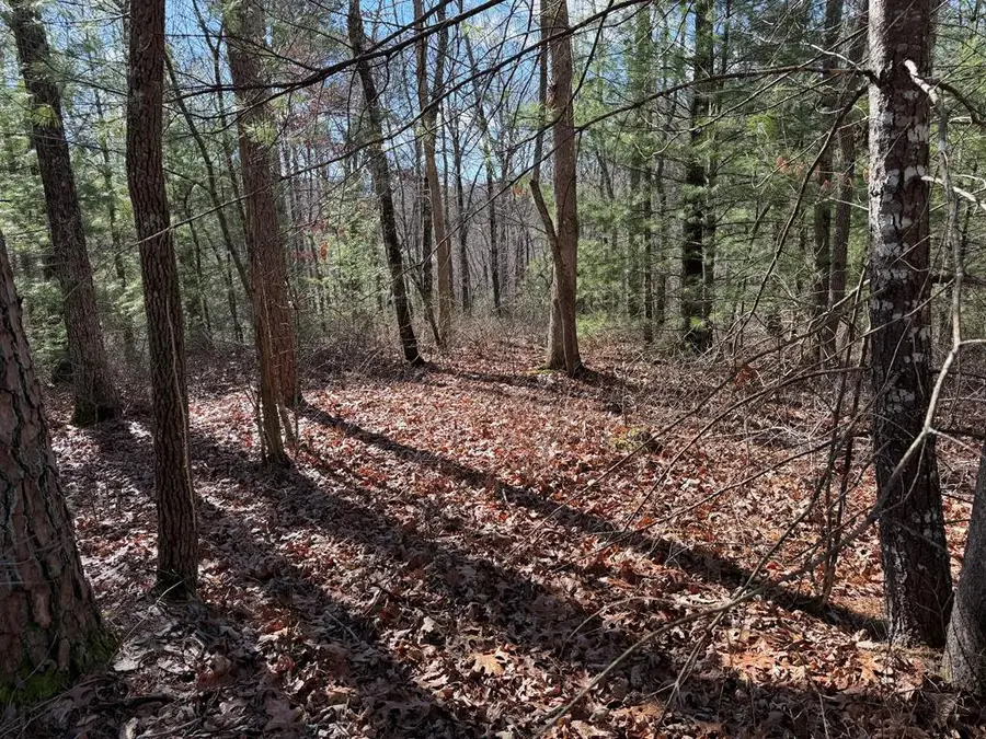 Lot #20 Yellow Maple Drive, Murphy, NC 28906 - #3
