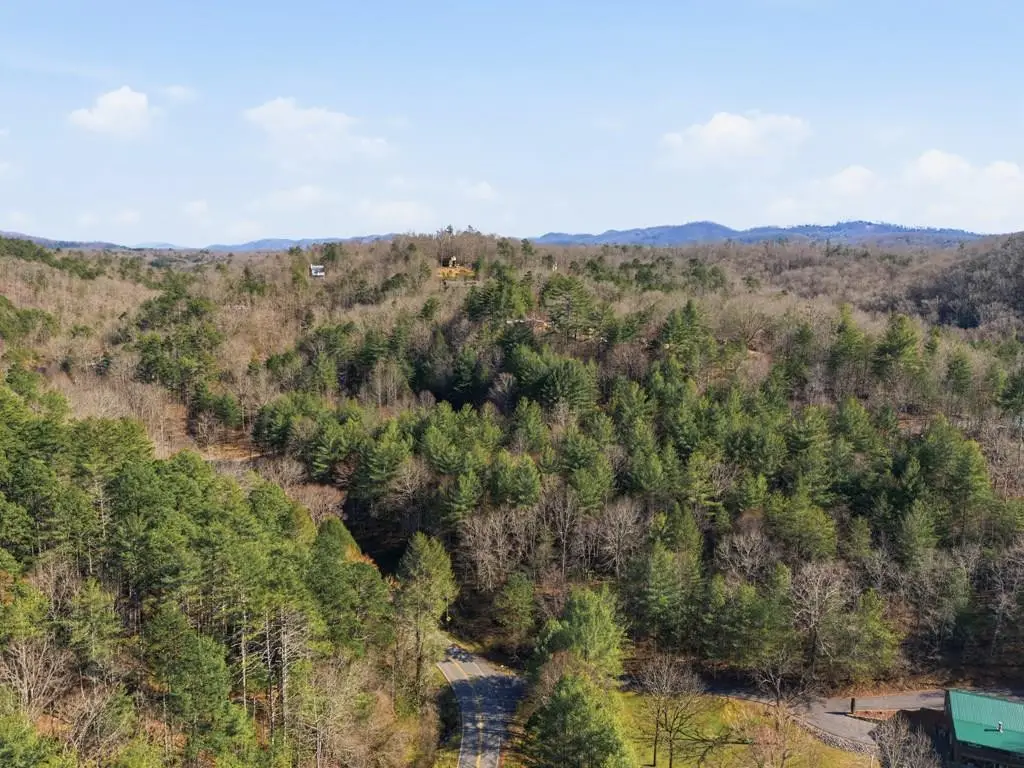 115 Crowe Mountain Lane, Murphy, NC 28906 - #1