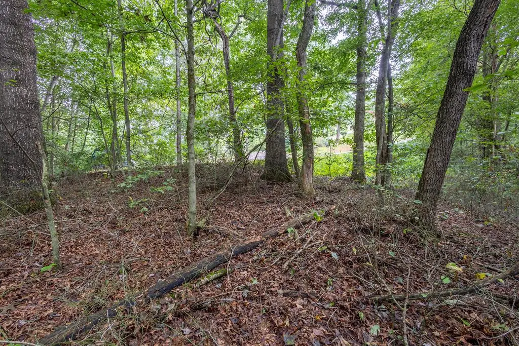 3 AC Chestnut Flats Road, Andrews, NC 28901 - #1