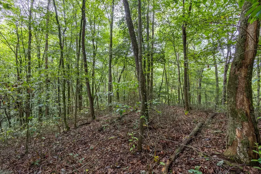 3 AC Chestnut Flats Road, Andrews, NC 28901 - #3