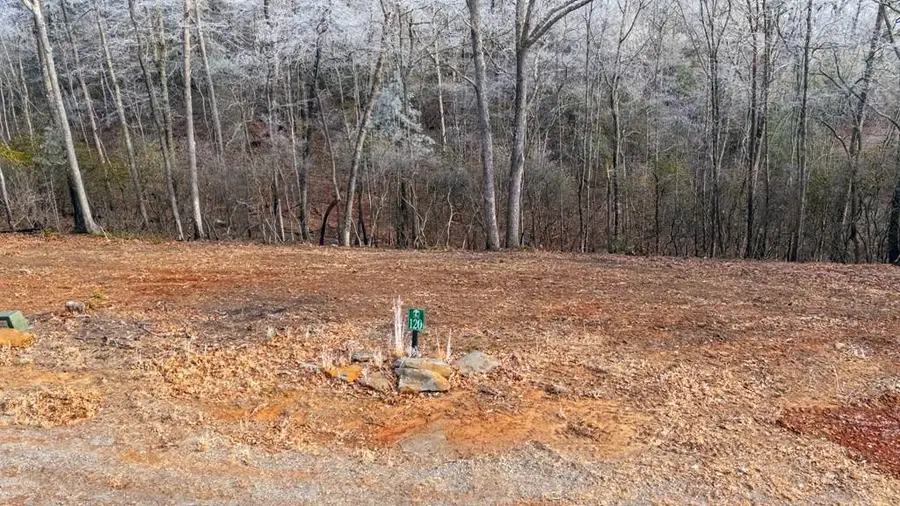 Lot 120 Serene Pond Trail, Murphy, NC 28906 - #2