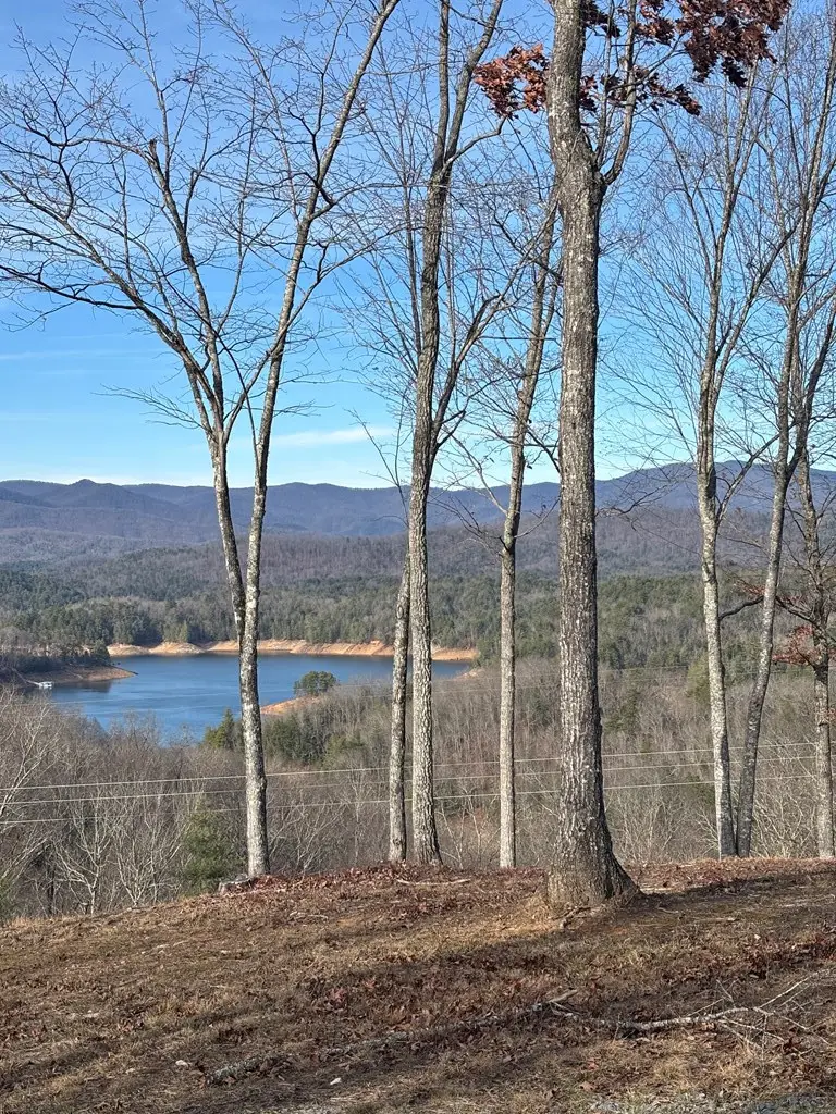 Lot 1 Thundering Hill, Murphy, NC 28906 - #2