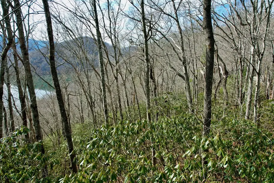 TBD Zimmerman / Holly Ridge Road, Nantahala, NC 28781 - #3