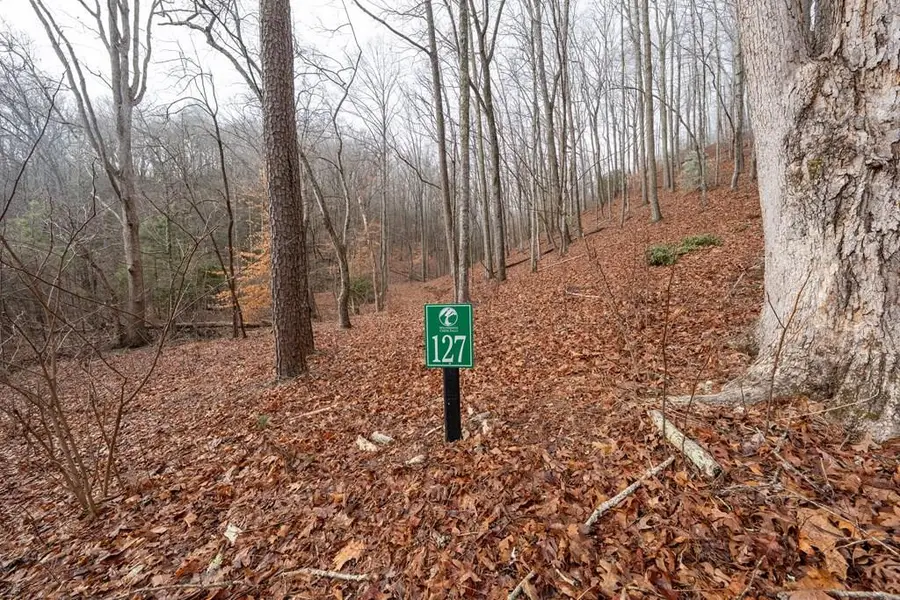 Lot 127 Serene Pond Trail, Murphy, NC 28906 - #2