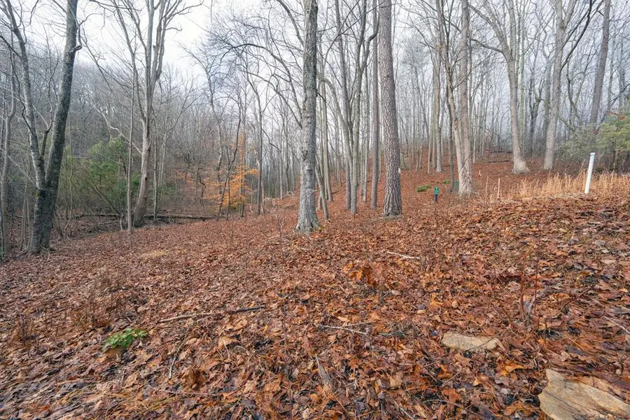 Lot 127 Serene Pond Trail, Murphy, NC 28906 - #3
