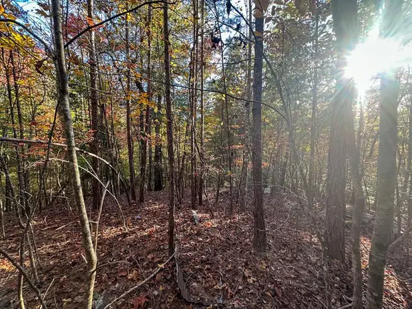 0 Dones Drive, Murphy, NC 28906