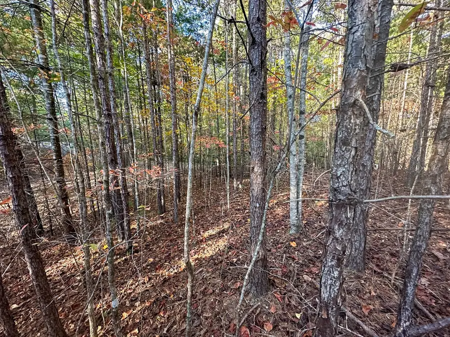 0 Dones Drive, Murphy, NC 28906 - #3