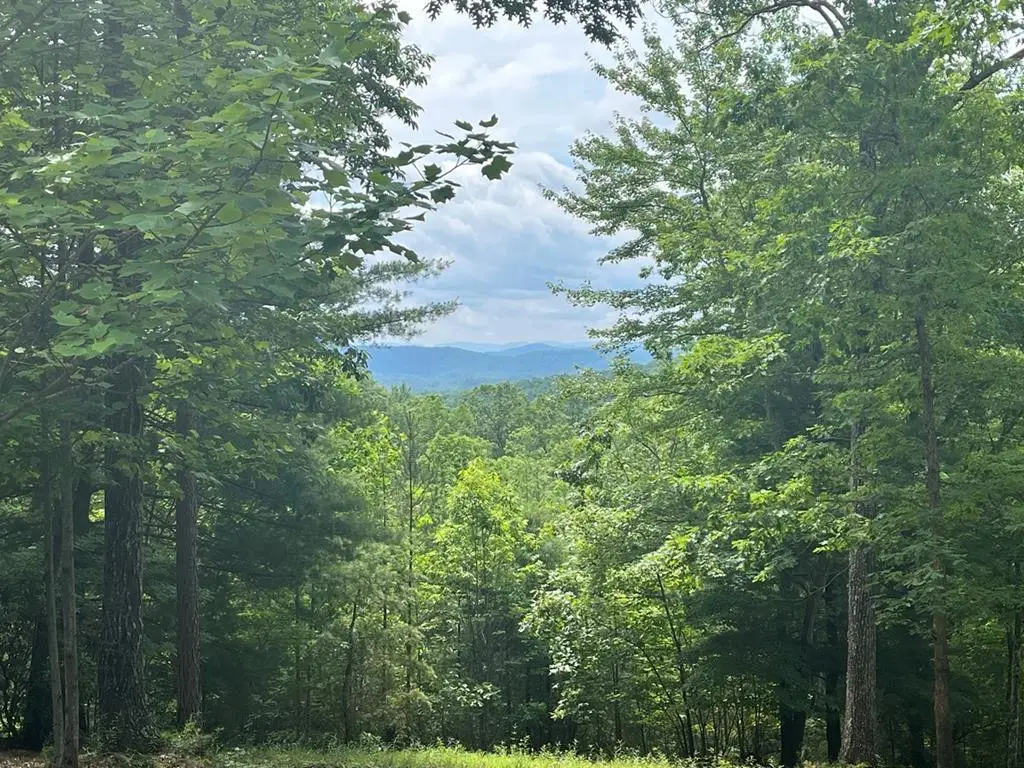 Lot 49 Burger Road, Murphy, NC 28906 - #1