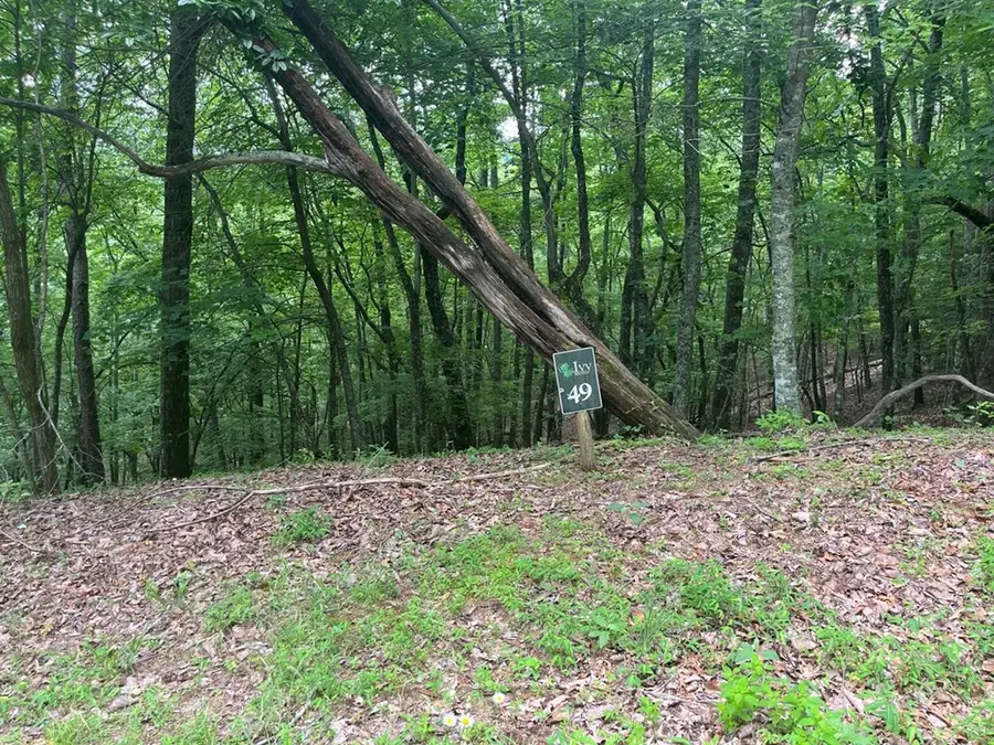 Lot 49 Burger Road, Murphy, NC 28906 - #2