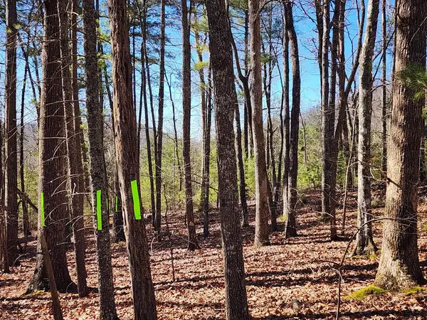 Lot17 Gray Grouse Trail, Murphy, NC 28906