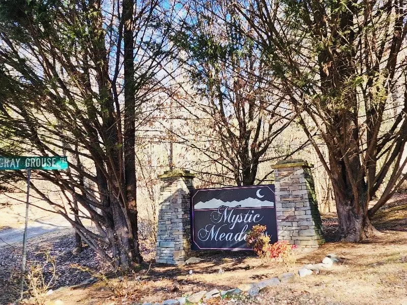 Lot17 Gray Grouse Trail, Murphy, NC 28906 - #2