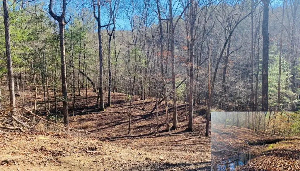 Lot 205 Windy Mountain Peak Lane, Murphy, NC 28906 - #1
