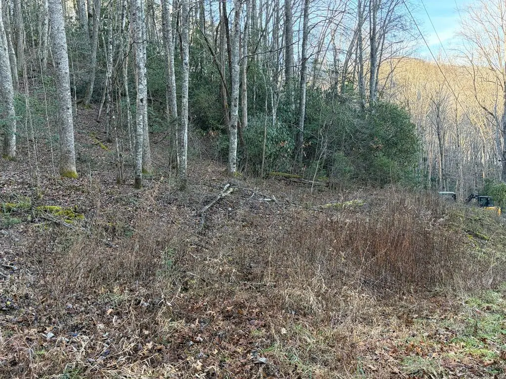 00 Choga Trail, Topton, NC 28781 - #1