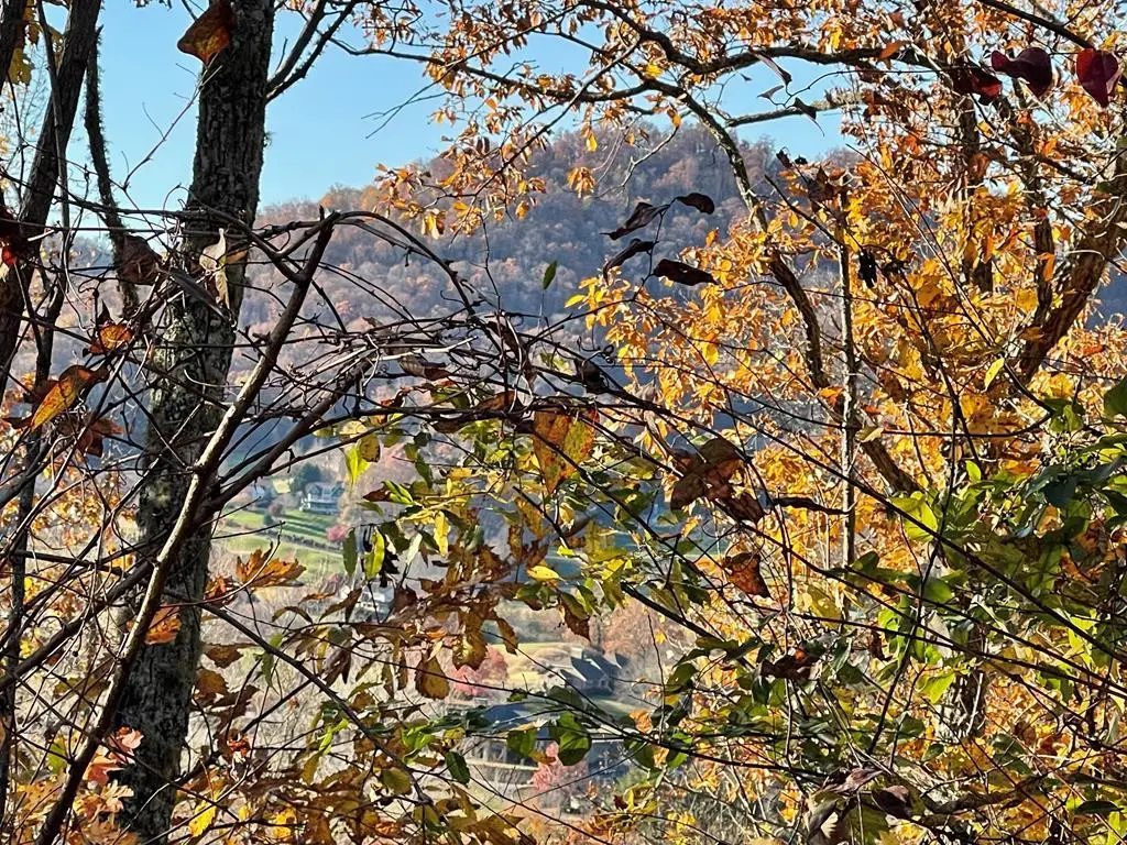 Lot 37m Ridges, Hayesville, NC 28904 - #1