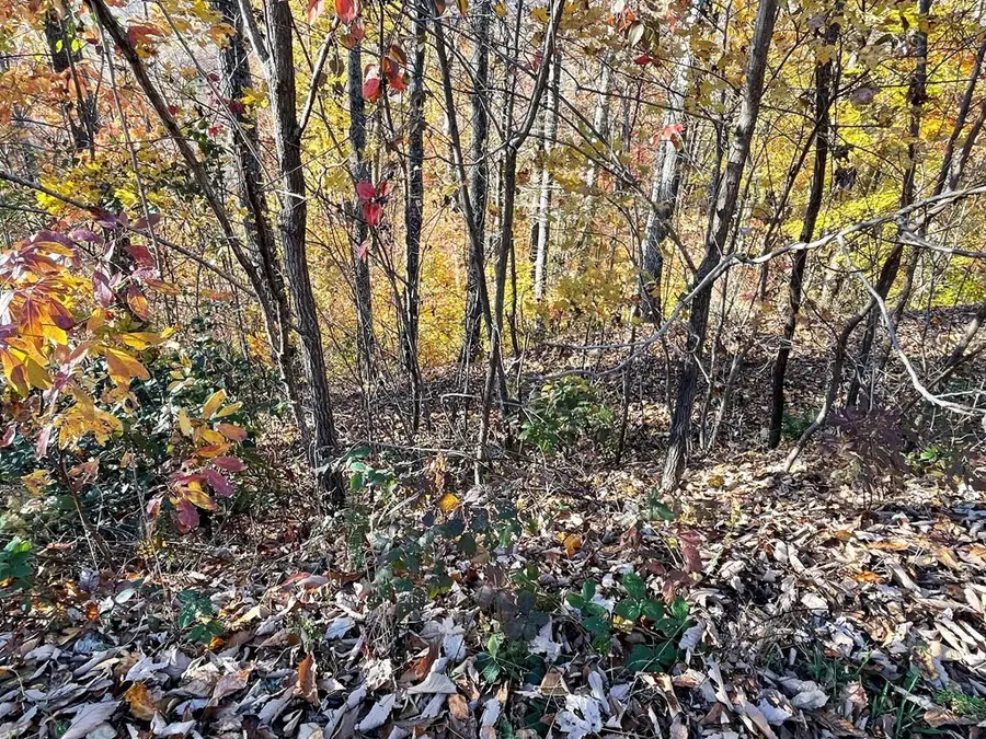 Lot 37m Ridges, Hayesville, NC 28904 - #2