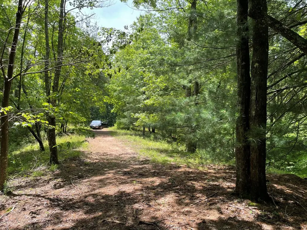 00 Collett Woods Trail, Andrews, NC 28901 - #1