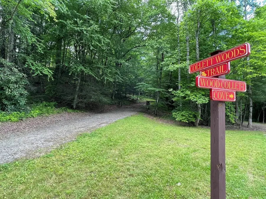00 Collett Woods Trail, Andrews, NC 28901 - #2