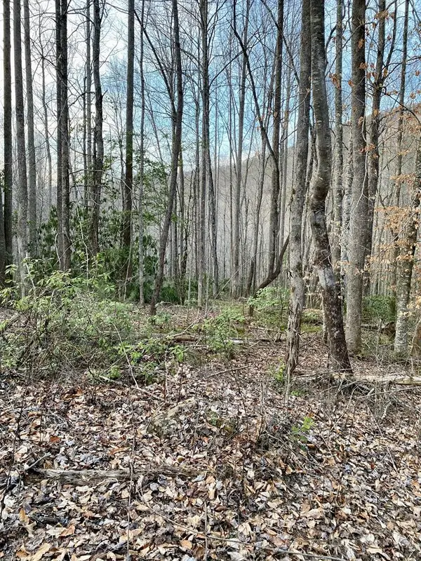 00 Carringer Road, Robbinsville, NC 28771