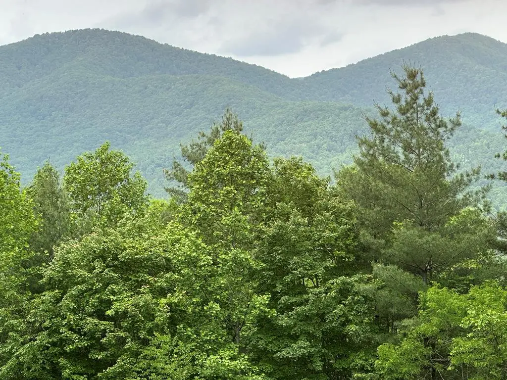 00 Top Horseshoe Ridge, Murphy, NC 28906 - #1