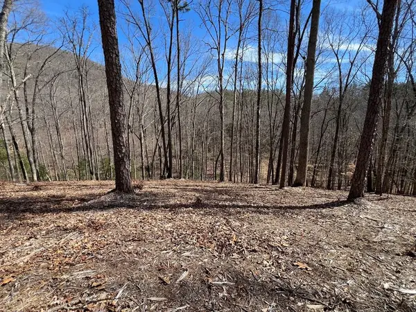 Lot 164 Tracks Hollow, Murphy, NC 28906