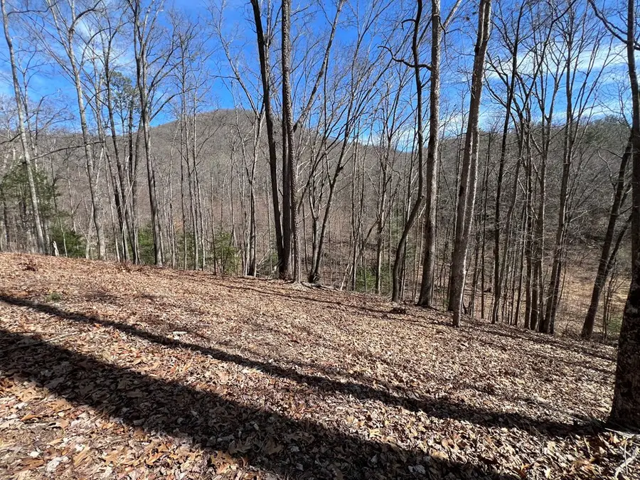 Lot 164 Tracks Hollow, Murphy, NC 28906 - #3