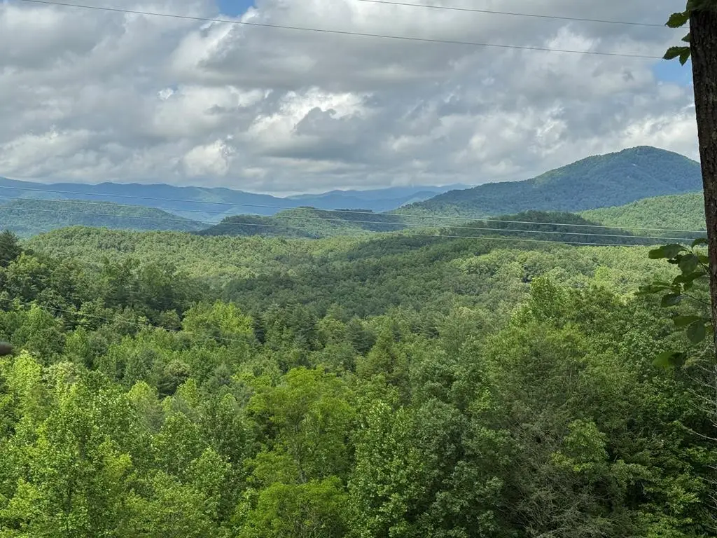 Lot 62 Thundering Hill, Murphy, NC 28906 - #1