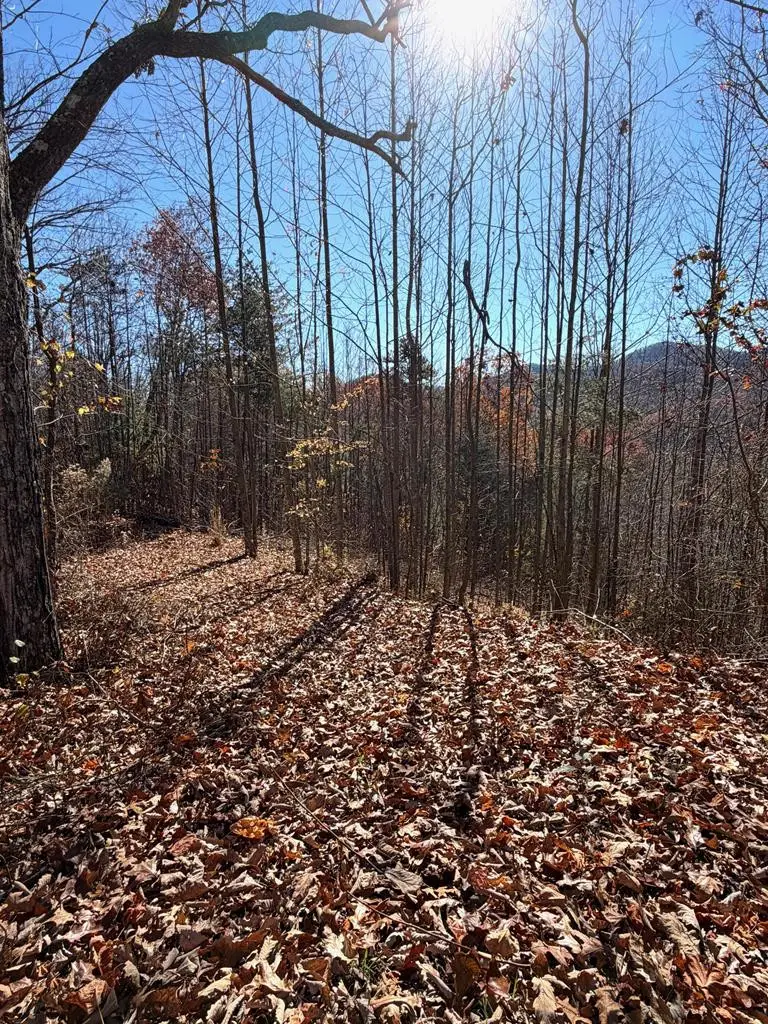 Lot 13 View Ridge Trail, Murphy, NC 28906 - #3