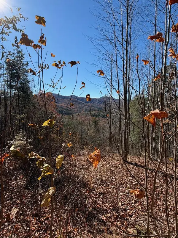 Lot 14 View Ridge Trail, Murphy, NC 28906