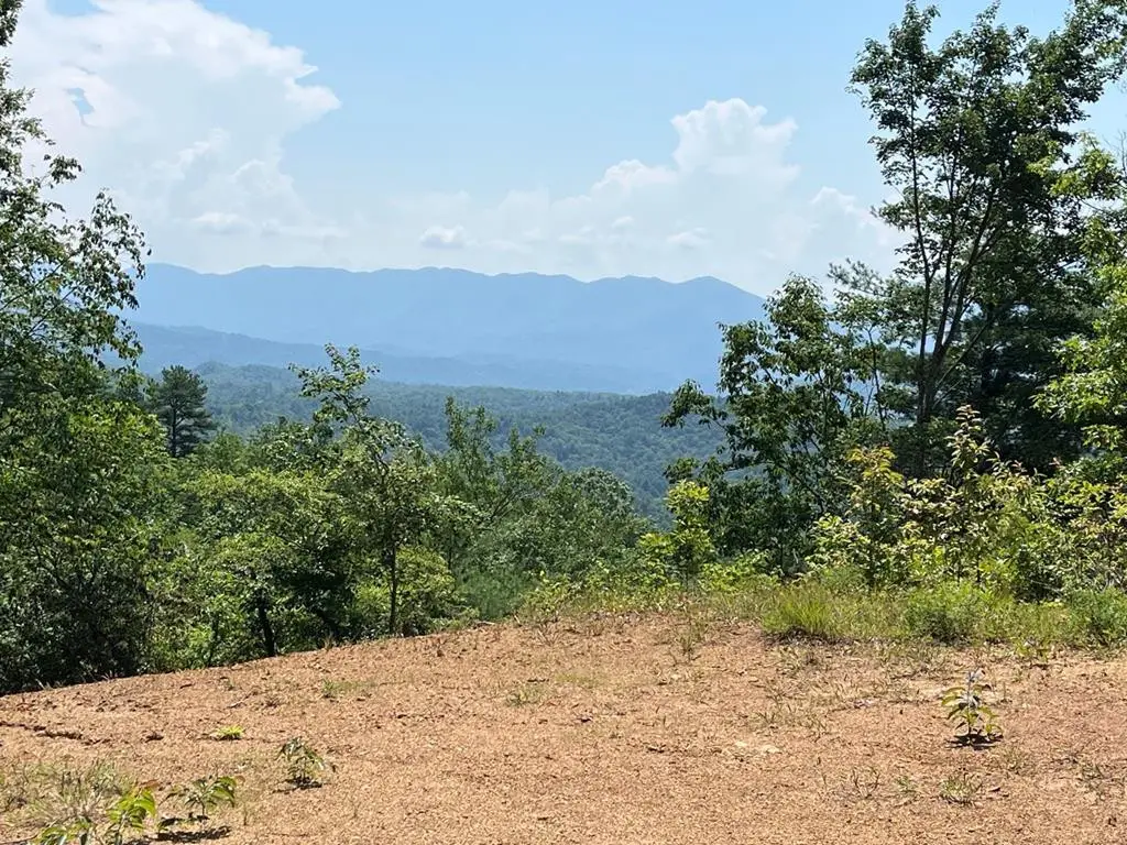 501 Clifftop Trail, Andrews, NC 28901 - #1