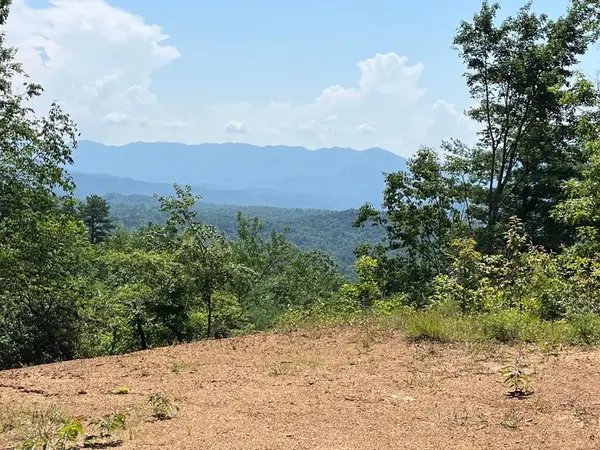 501 Clifftop Trail, Andrews, NC 28901