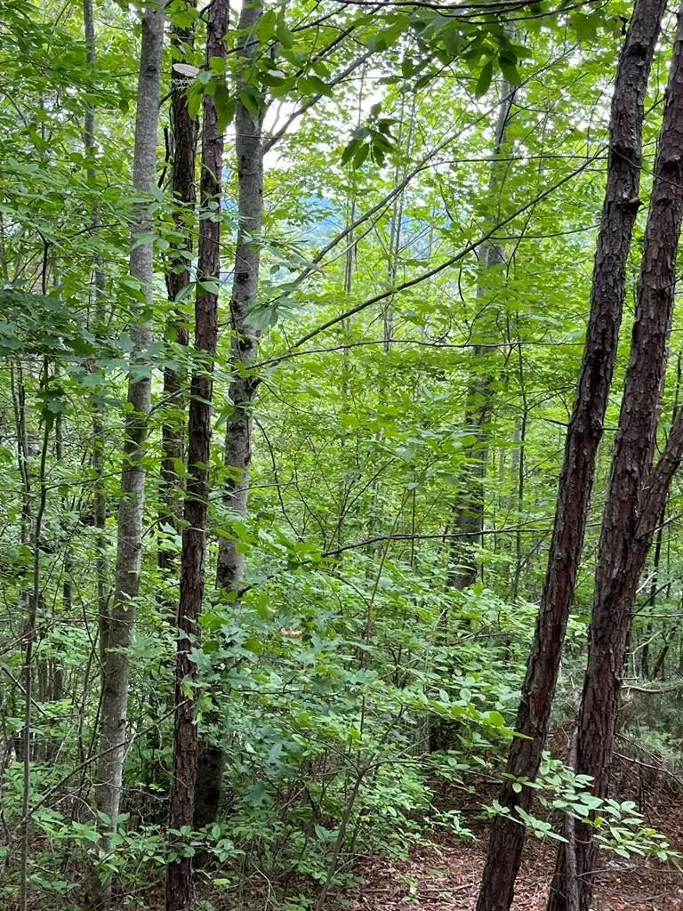 Lt 527-4 Farmers Top Drive, Murphy, NC 28906 - #1