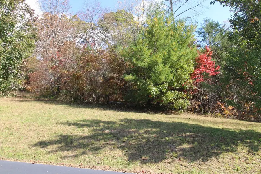 Lot 17 Old Taylors Ferry Ridge, Murphy, NC 28906 - #3