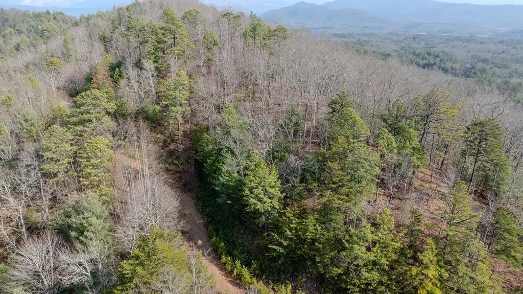 2.57 Scottie Mountain Circle, Murphy, NC 28906 - #1