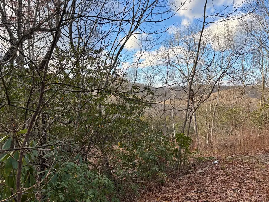 2.02 AC Viewforth, Nantahala, NC 28781 - #2