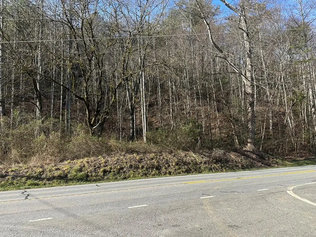 00 Highway 141, Marble, NC 28905 - #1