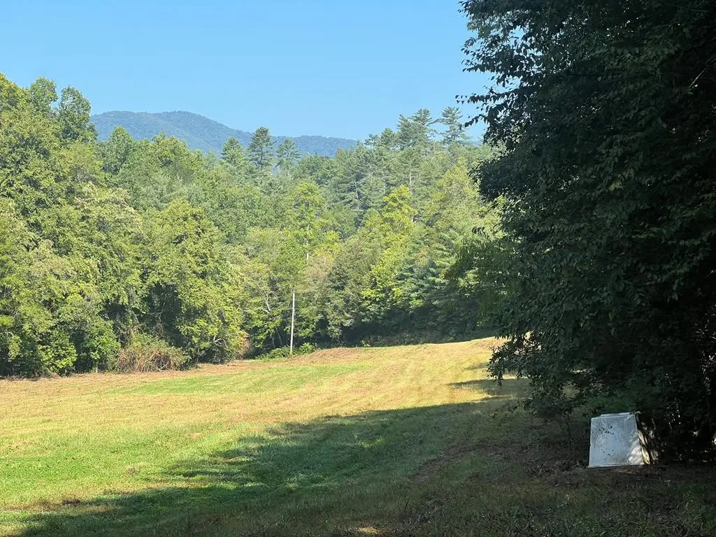 75 Rj Mountain View Drive, Murphy, NC 28906 - #1